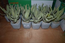 *Ten Small Artificial Plants