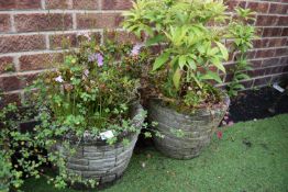 Pair of Circular garden Wall Style Planters with P