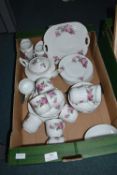 Czechoslovakian Part Tea Set
