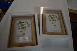 Two Photo Frames