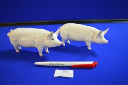 Two Beswick Pottery Pedigree Pigs “Champion Boy” and “Wall Queen”