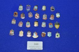 Sterling and Continental Silver Enamelled Charms