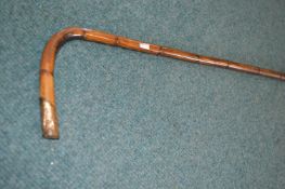 Malacca Cane