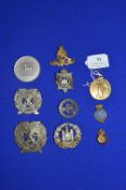 Military Badges, Medallions, etc.