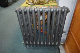Grey Cast Iron Ten Section Radiator 29