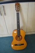 Encore Acoustic Guitar