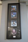 Framed Star Trek Illustrations