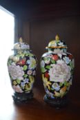 Pair of Chinese Enamel Vases