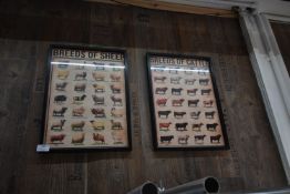 *Two Framed Pictures “Breeds of Sheep” and “Breeds of Cattle”