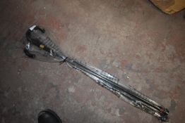 * Two Walking Sticks