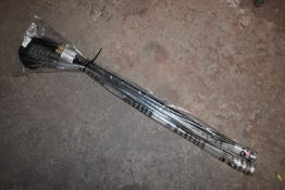 * Two Walking Sticks