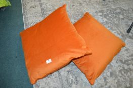 *Pair of Plush Orange Cushions