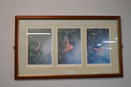 Framed Kingfisher Prints Signed by John R. Norris