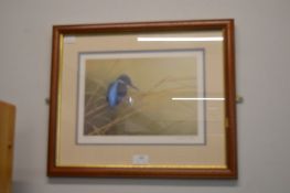 Framed Kingfisher Print Signed by Robert E. Fuller