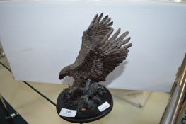 Composite Study of an Eagle