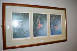 Framed Kingfisher Print by John Morris