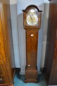 Tempus Fugitt Grandmother Clock (damage to glass)
