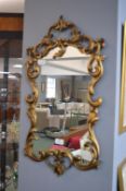 Ornate Gilt Frmed Mirror