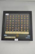 Framed Military Button Collection