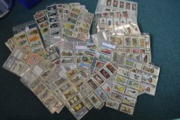 Collection of Cigarette and Tea Cards