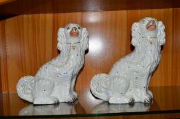 Two Staffordshire Flatback Spaniels