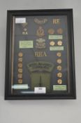 Welsh Regiment Military Buttons and Badges