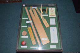 Cricket Bat History Display Case