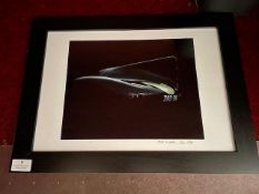 *Framed Print of a 94 D Type Jaguar JC1997