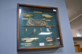 Cased Fishing Display