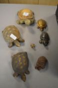 Six Ornamental Tortoises