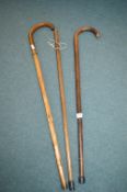 Three Walking Sticks