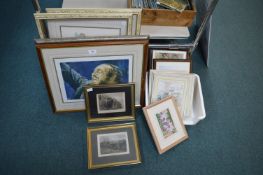 Framed Pictures and Prints