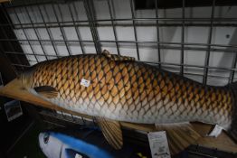 *Gabby Grass Carp Pillow 110cm