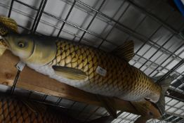 *Gabby Grass Carp Pillow 78cm