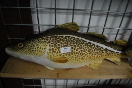 *Gabby Cod Pillow 77cm