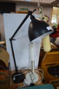 Two Adjustable Desk Lamps