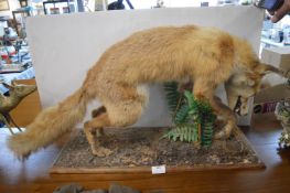 Stuffed Fox