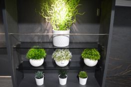 *Seven Display Artificial Plants (Various Sizes)