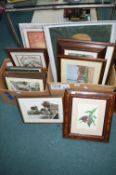 Two Boxes of Framed Pictures & Prints
