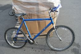 Barracuda Saba Mountain Bike