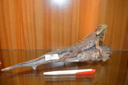Model of Lizard on a Log