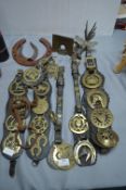 Martingales, Brass Ornaments, etc.