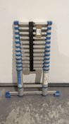 MacAllister 10-rung Telescopic Step Ladder 3.8m
