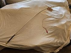 Schooling whip with whalebone end