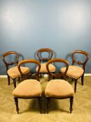 A set of five Victorian mahogany balloon back dining chairs