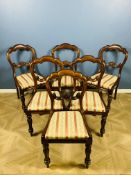 Set of six Victorian mahogany balloon back chairs