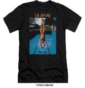 1 x DEF LEPPARD High and Dry Logo Short Sleeve Men's T-Shirt by Gildan - Size: Large - Colour: Black