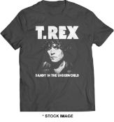 1 x T REX Dandy in the Underworld Logo Short Sleeve Men's T-Shirt by Gildan - Size: Large -