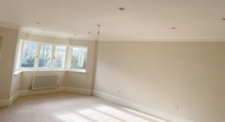 22-Metres of Premium Ceiling Cornice - Ref: PAN176 / RearRm - Ref: PAN243 - CL896 - NO VAT