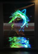 1 x Original LENTICULAR Light Box WALL ART by the Renowned Photographer and Artist DERRICK SANTINI